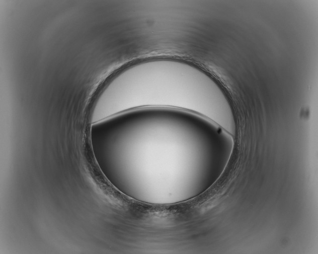 X0000089720540200706210856
