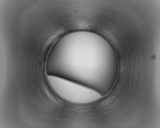 X0000089720542200706210856