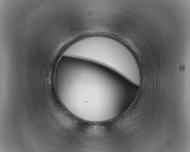 X0000089720543200706210856