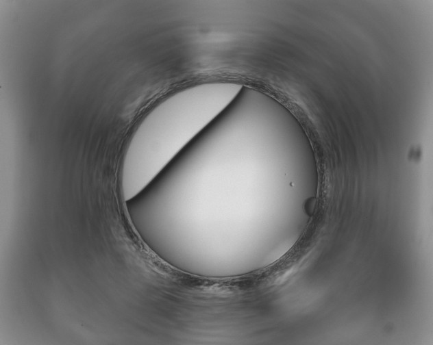X0000089720545200706210856