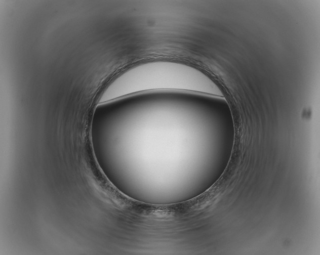 X0000089720546200706210856