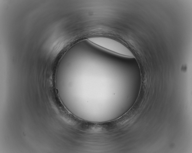 X0000089720547200706210856