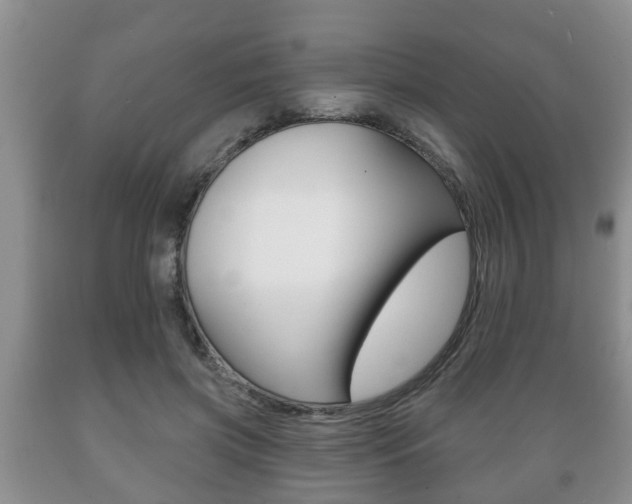 X0000089720549200706210856
