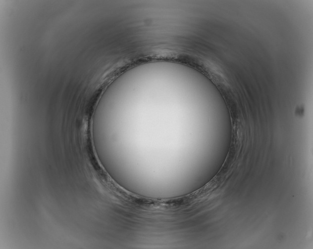 X0000089720550200706210856