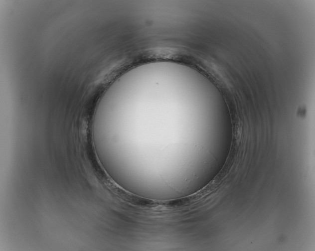 X0000089720551200706210856