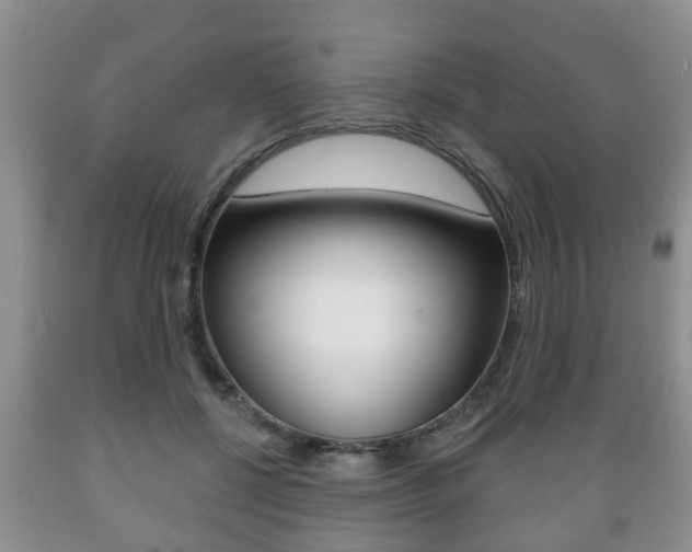 X0000089720552200706210856