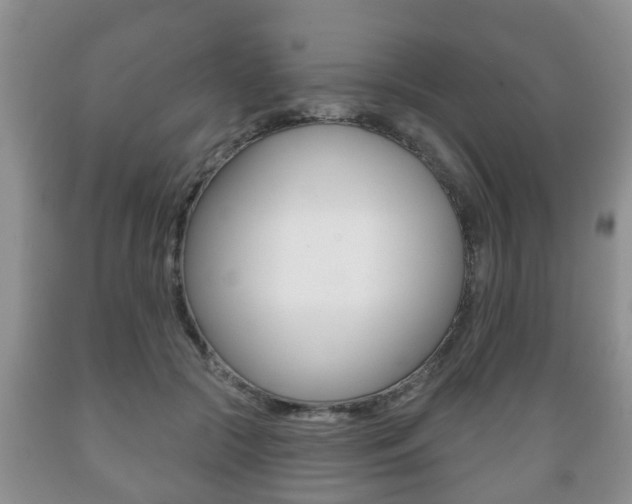 X0000089720553200706210856