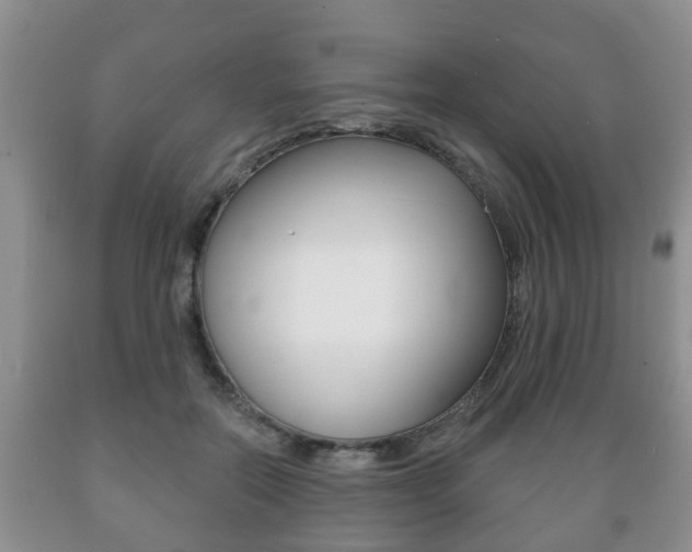 X0000089720554200706210856