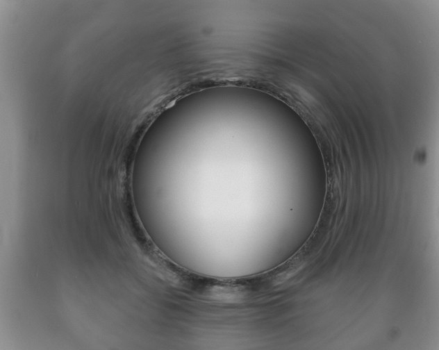 X0000089720556200706210856