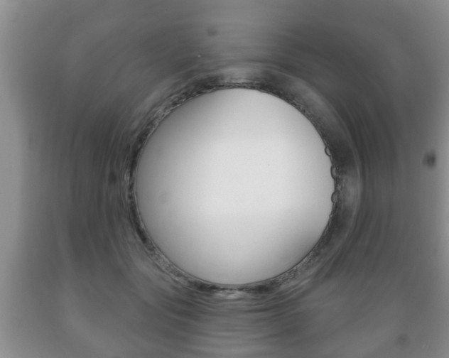 X0000089720557200706210856