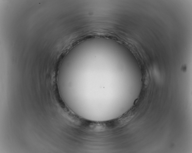 X0000089720559200706210856