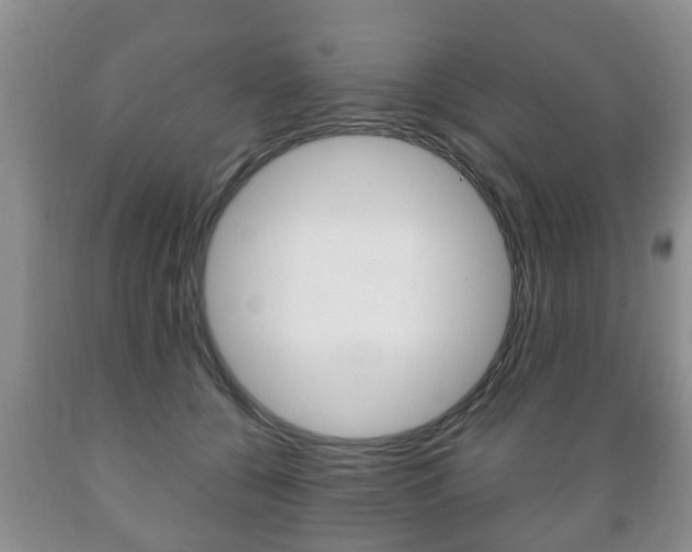 X0000089720560200706210856