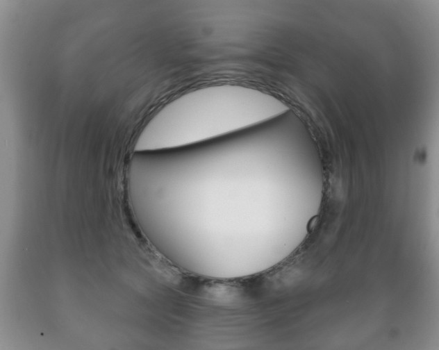 X0000089720561200706210856