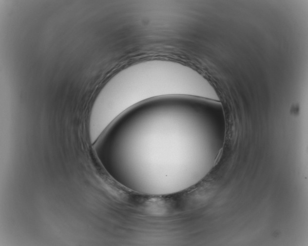 X0000089720562200706210856