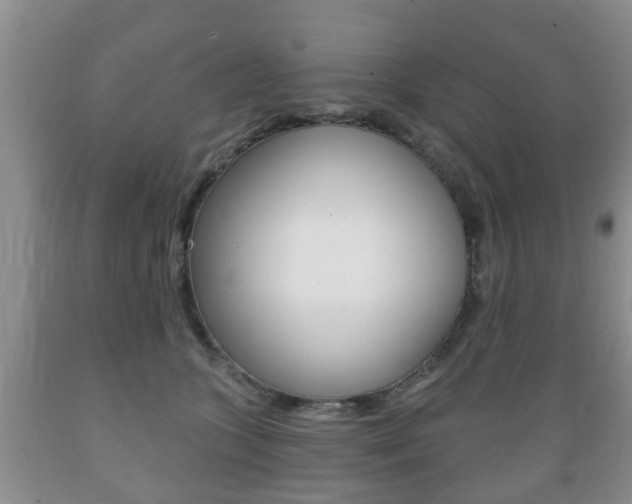 X0000089720563200706210856