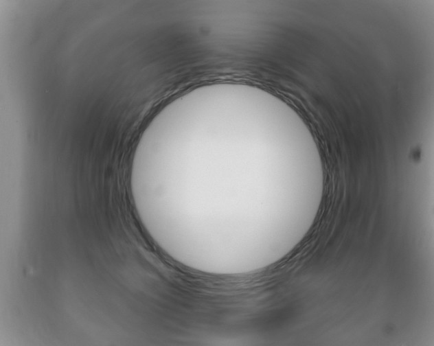 X0000089720564200706210856