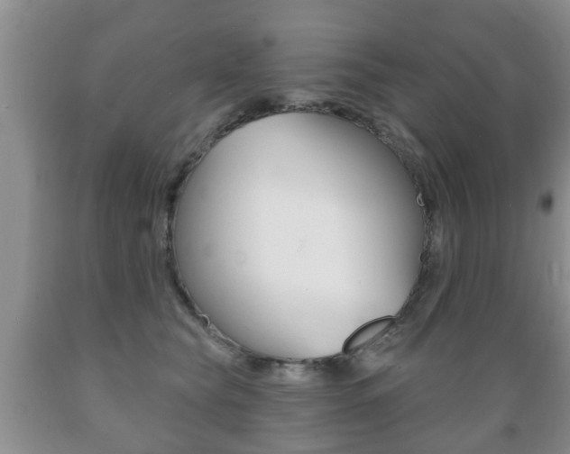 X0000089720565200706210856