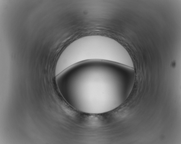 X0000089720566200706210856