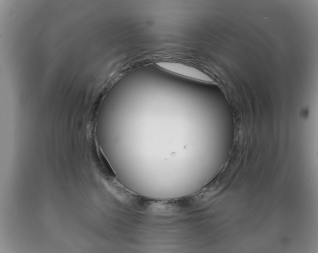 X0000089720568200706210856