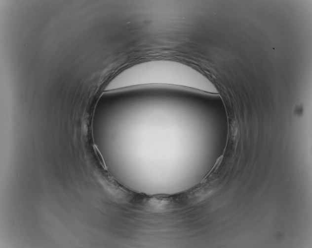 X0000089720570200706210856
