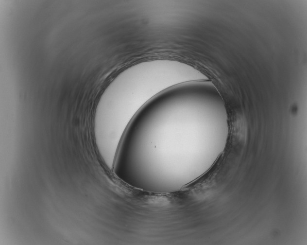 X0000089720572200706210856