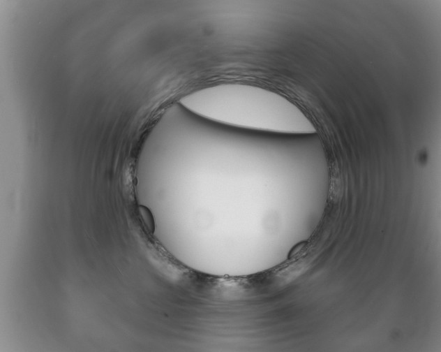 X0000089720573200706210856