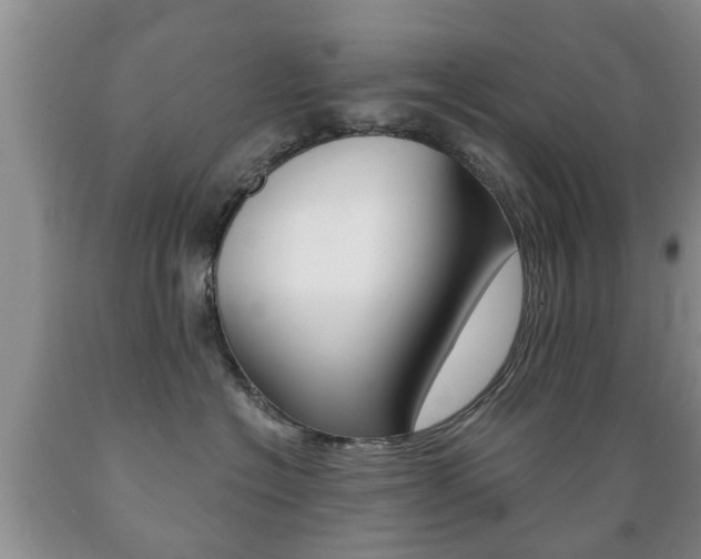 X0000089720574200706210856