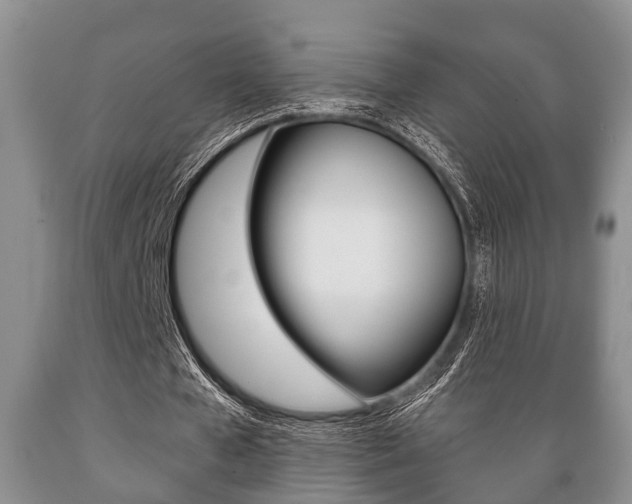 X0000089720577200706210856