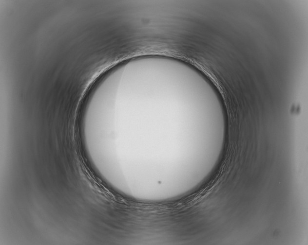 X0000089720579200706210856