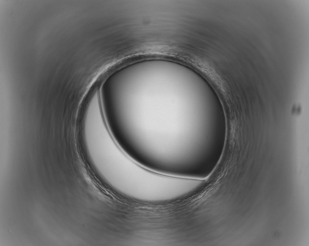 X0000089720580200706210856