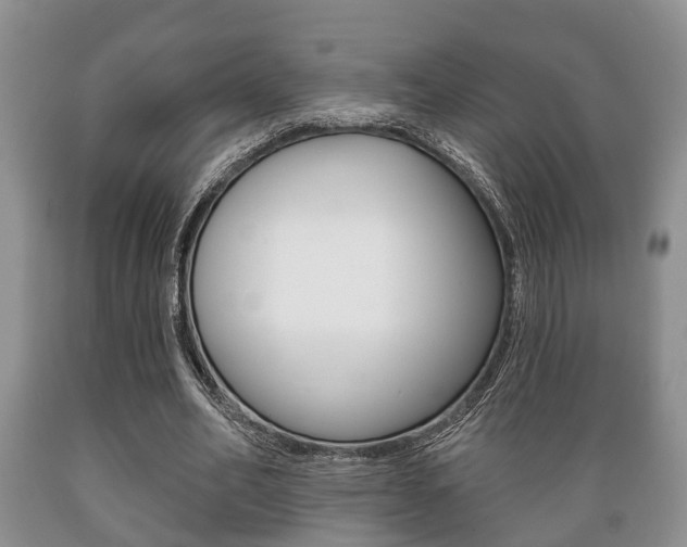 X0000089720582200706210856
