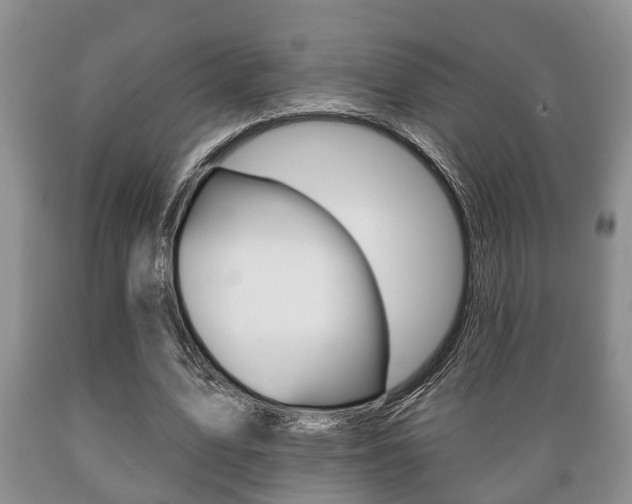 X0000089720583200706210856