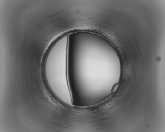 X0000089720584200706210856