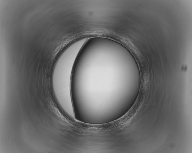 X0000089720585200706210856