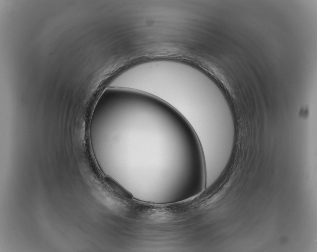 X0000089720589200706210856