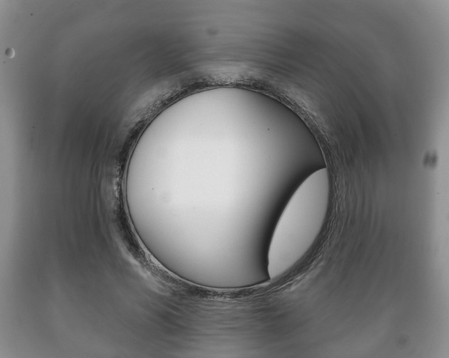 X0000089720590200706210856