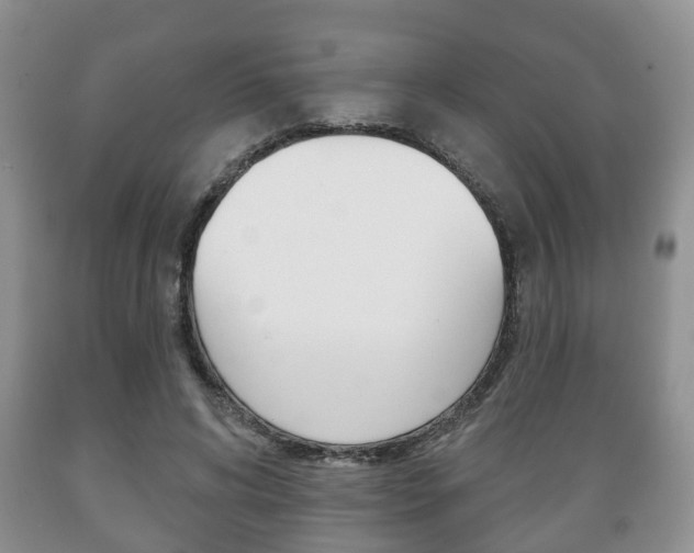 X0000089720592200706210856