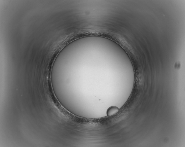 X0000089720593200706210855