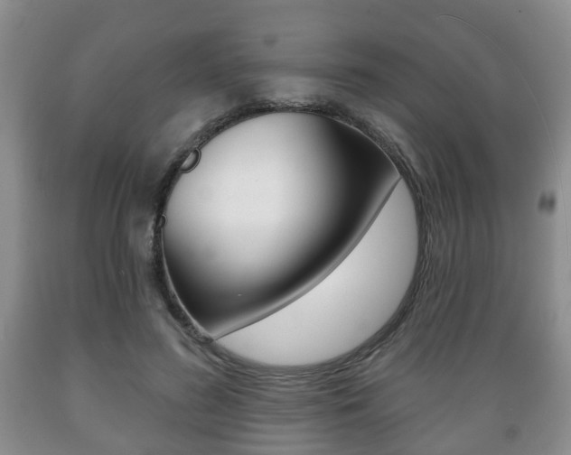 X0000089720596200706210855