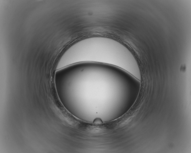 X0000089720597200706210855