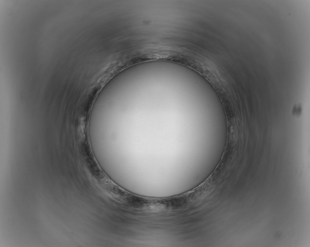 X0000089720598200706210855