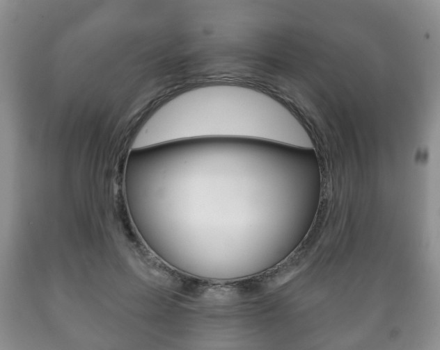 X0000089720599200706210855