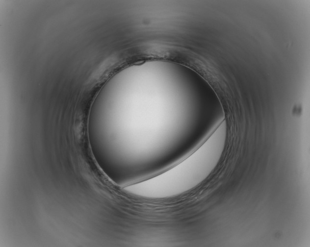 X0000089720600200706210855