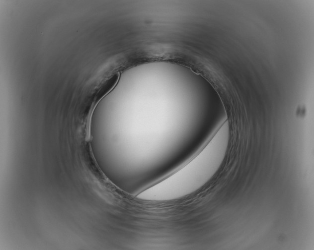 X0000089720601200706210855