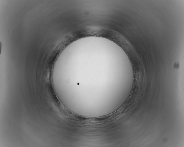 X0000089720602200706210855