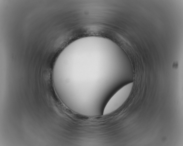 X0000089720603200706210855