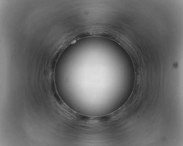 X0000089720604200706210855