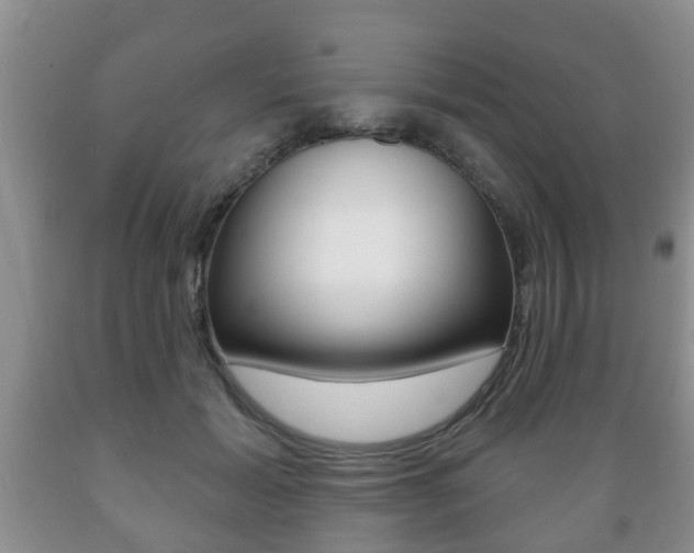 X0000089720605200706210855