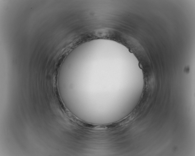X0000089720606200706210855