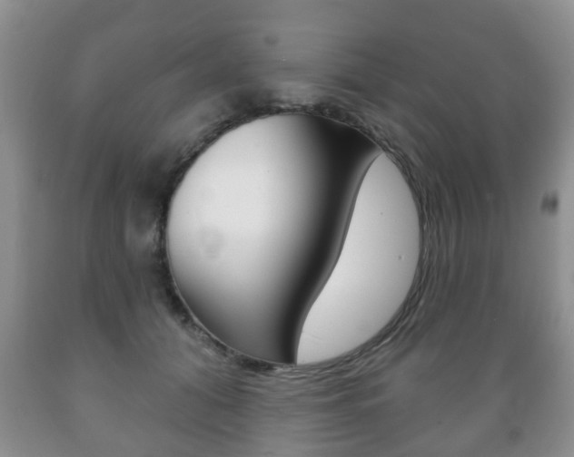 X0000089720608200706210855